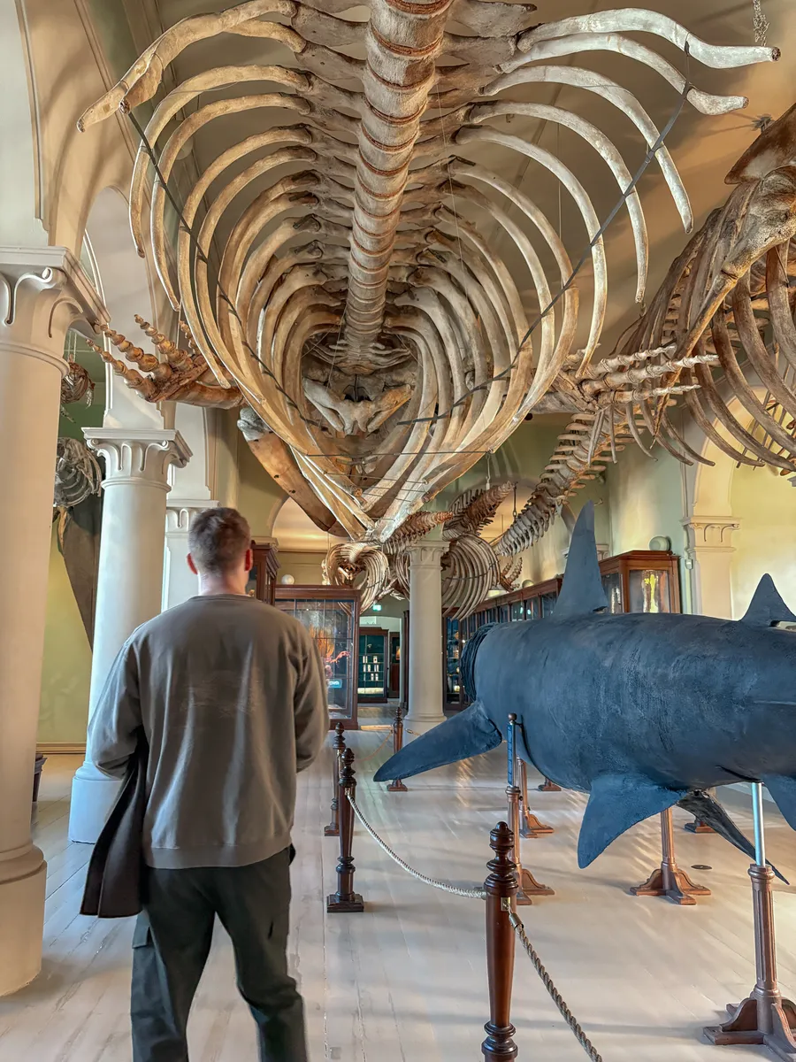 Naturhistorisk museum